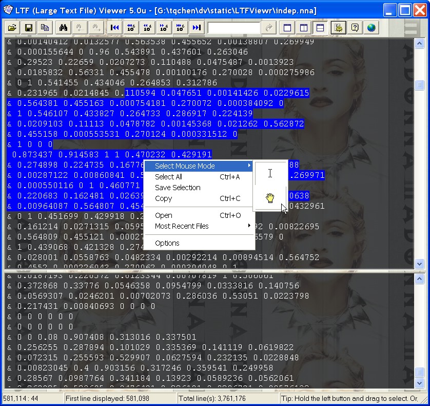 Large Text File Viewer 1